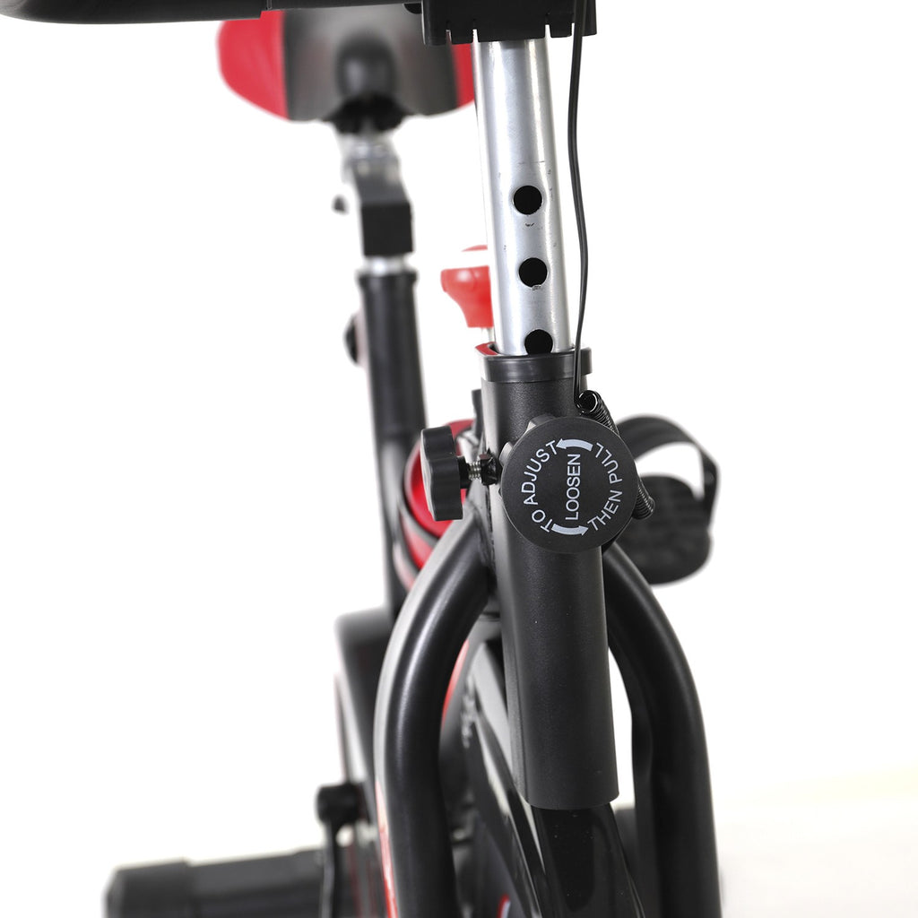 Bicicleta de Spinning Pro-Indoor