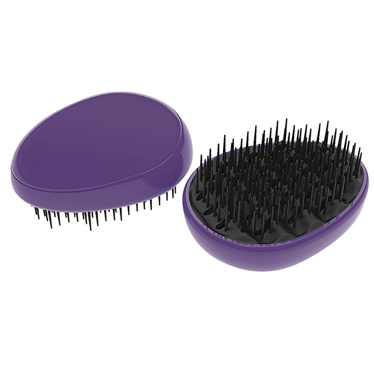 BROSSE EGG BRUSH VIOLET ET NOIR