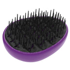 BROSSE EGG BRUSH VIOLET ET NOIR