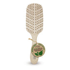 Brosse plate recyclable en épi