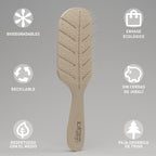 Brosse plate recyclable en épi