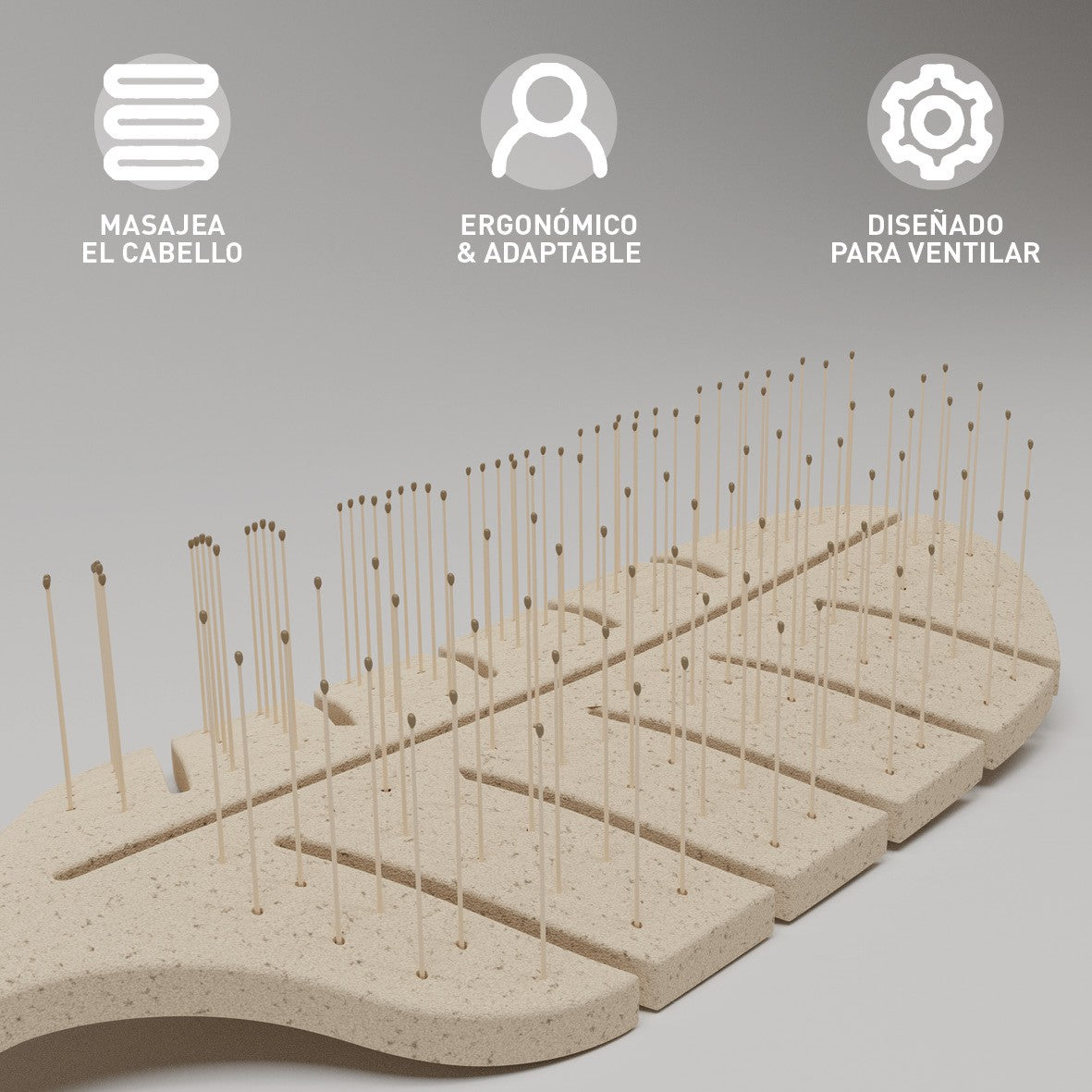 Cepillo Reciclable Espiga Plano