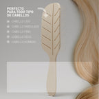 Brosse plate recyclable en épi