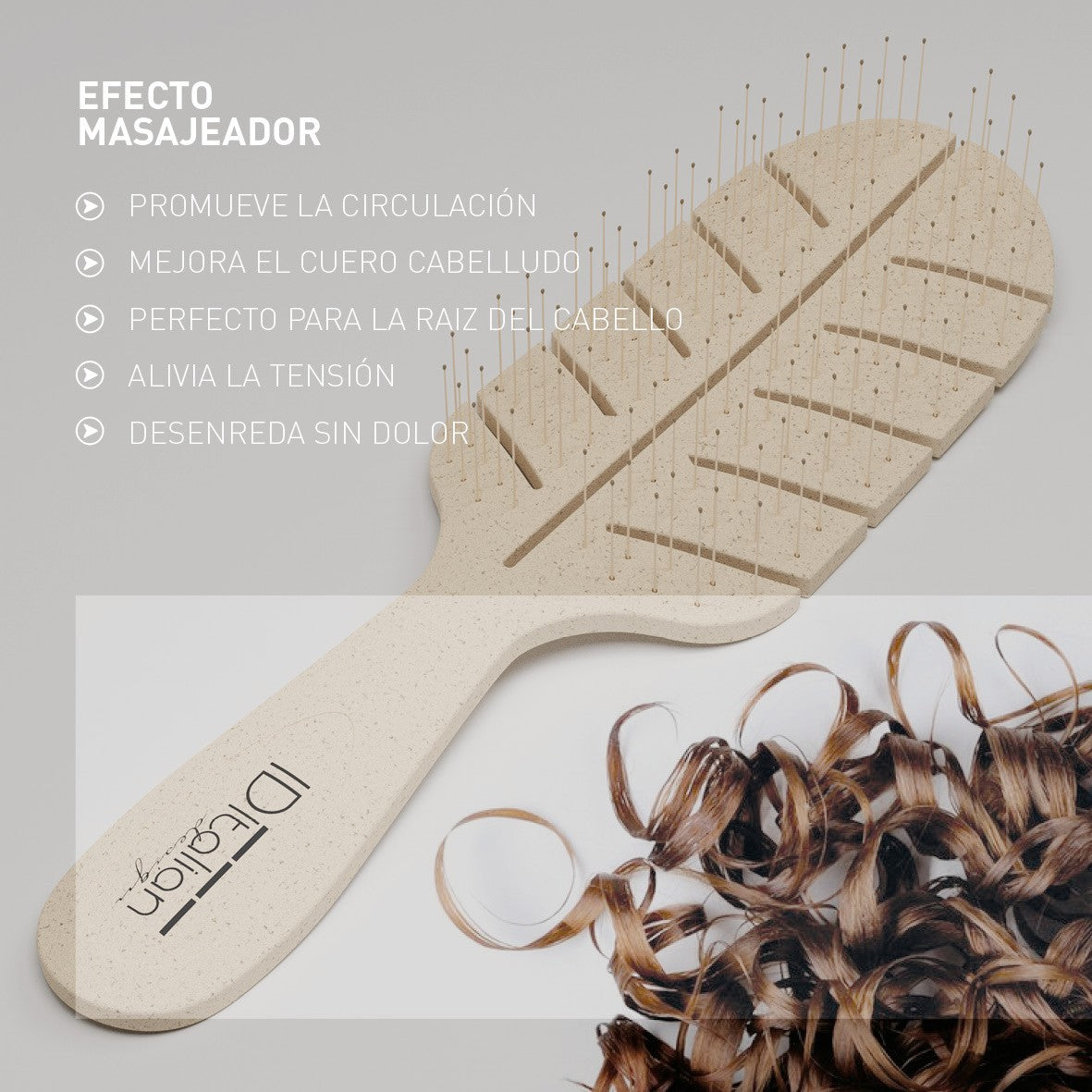 Cepillo Reciclable Espiga Plano