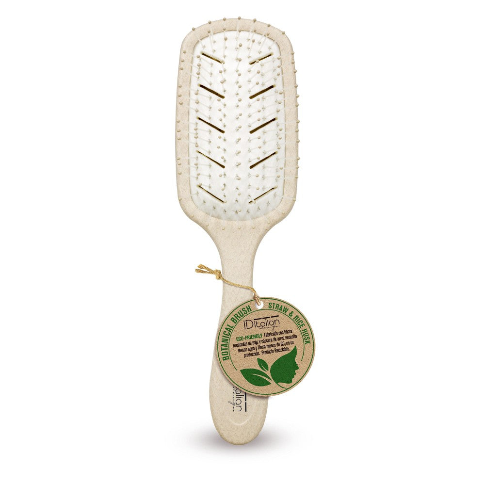 Cepillo Biodegradable Plano