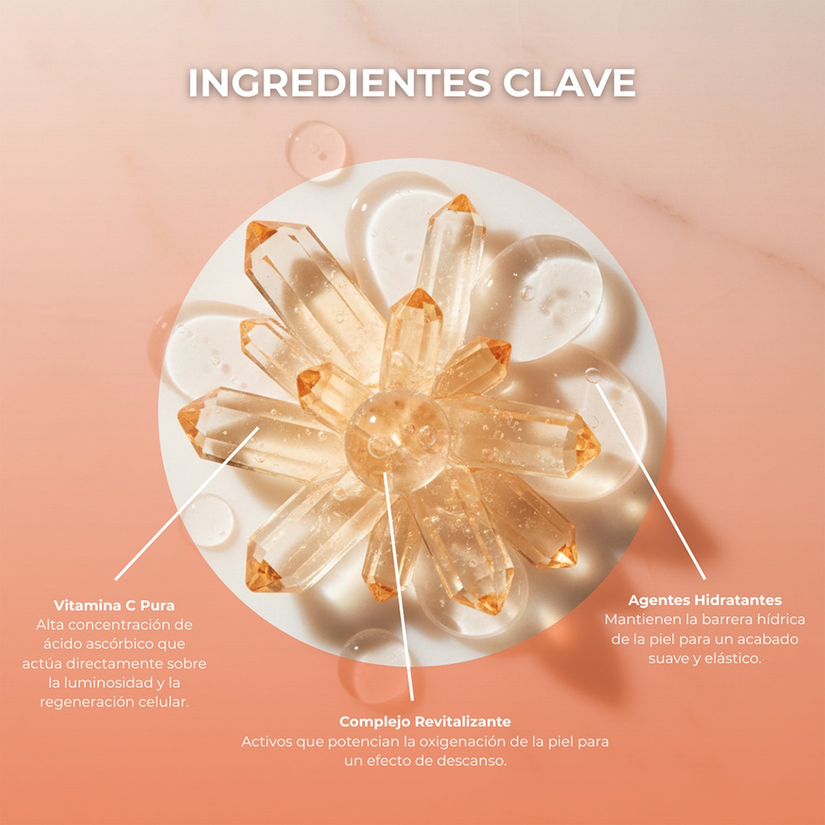 Concentrado de Vitamina C Antifatiga Re-Nergie C