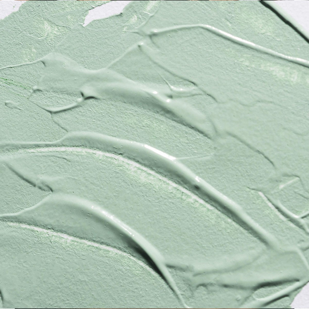 Maschera all'argilla verde Pure Clay 100ml
