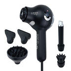 Secador Profesional Palm Core